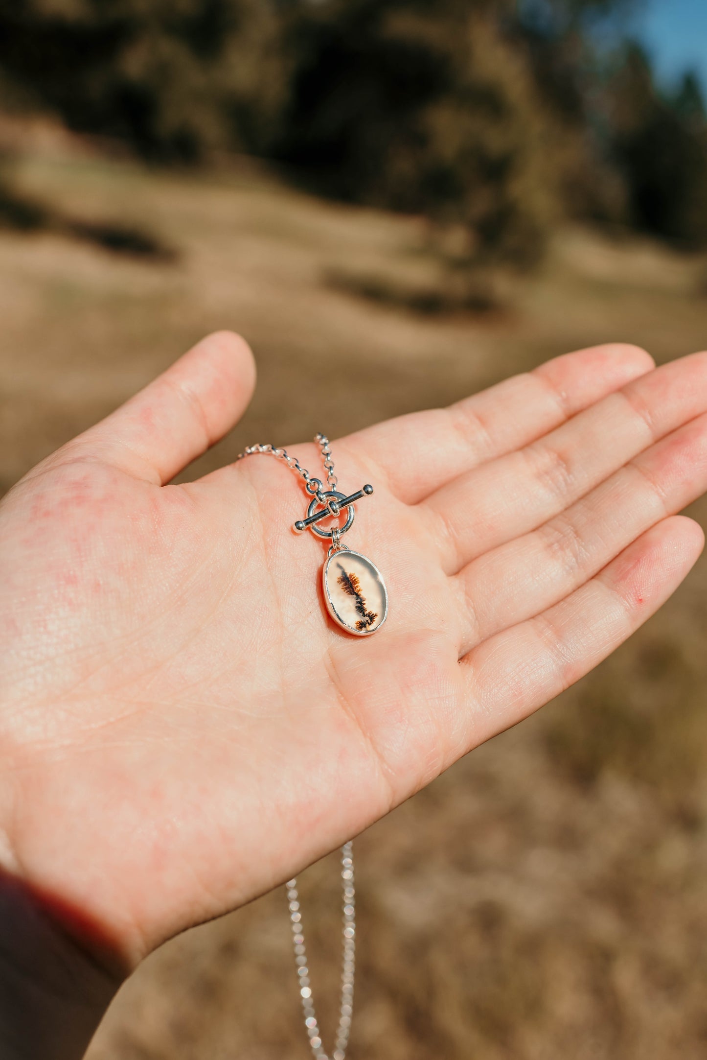 Montana Agate Toggle Necklace (16")