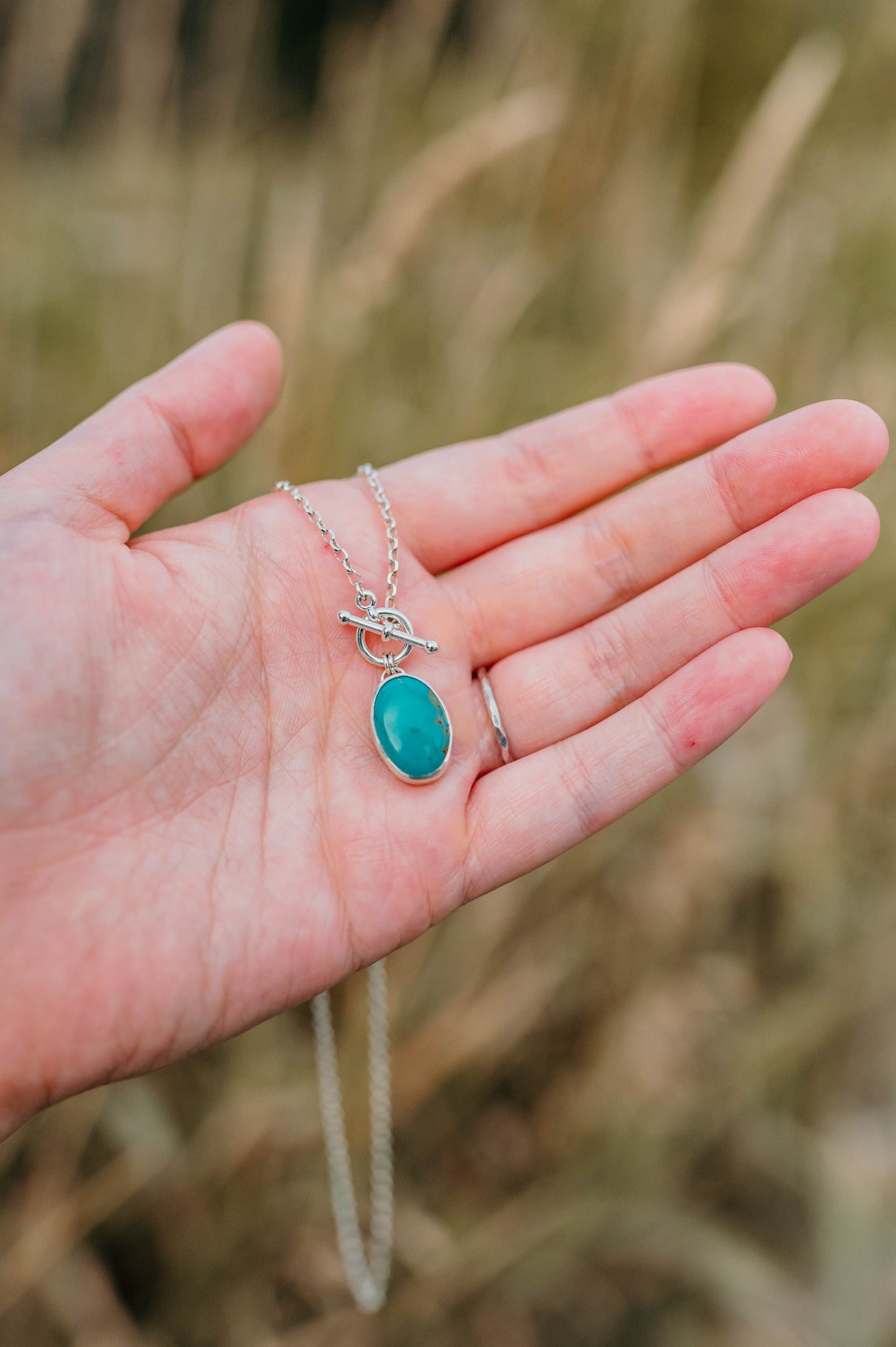 Sonoran Turquoise Toggle Necklace